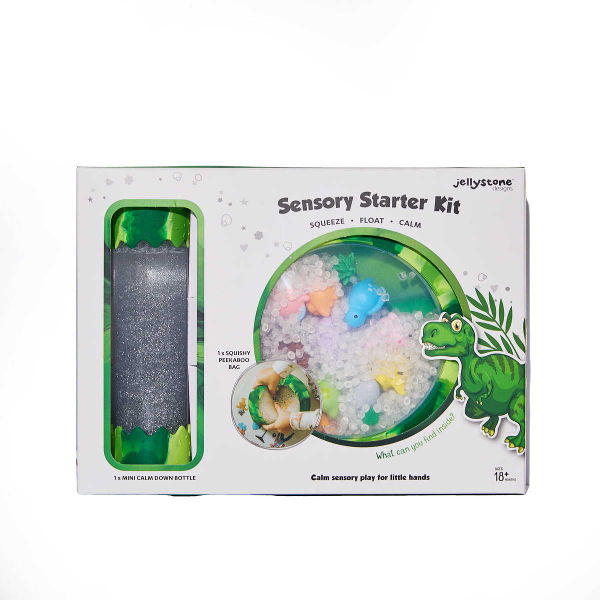 Sensory Starter Kit - DIno