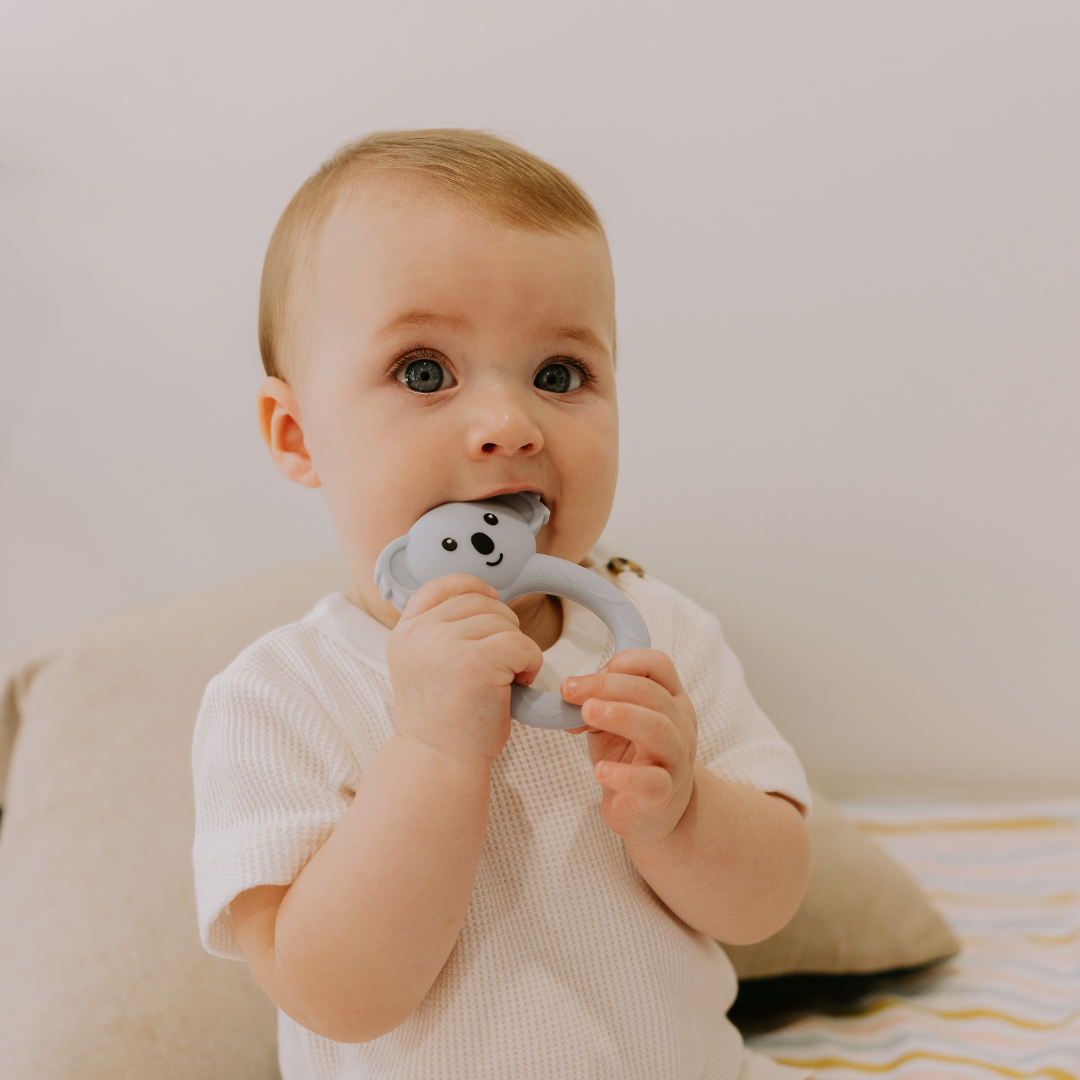 Boy chewing on a koala teether