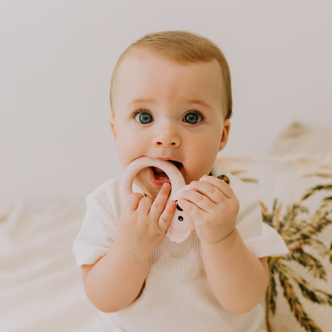 Boy chewing on koala teether